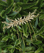 Acessório de Cabelo - Toucado Zissy II